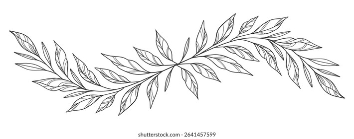 floral leaves line art isolated on white background. Divider doodle leaf and flowers, nature border decorative element vector illustration
