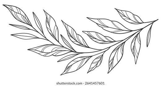 floral leaves line art isolated on white background. Divider doodle leaf and flowers, nature border decorative element vector illustration