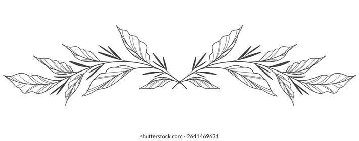 floral leaves line art isolated on white background. Divider doodle leaf and flowers, nature border decorative element vector illustration