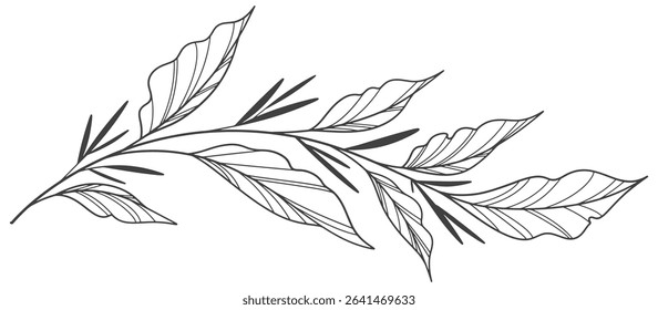 floral leaves line art isolated on white background. Divider doodle leaf and flowers, nature border decorative element vector illustration