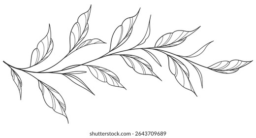 floral leaves line art isolated on white background. Divider doodle leaf and flowers, nature border decorative element vector illustration