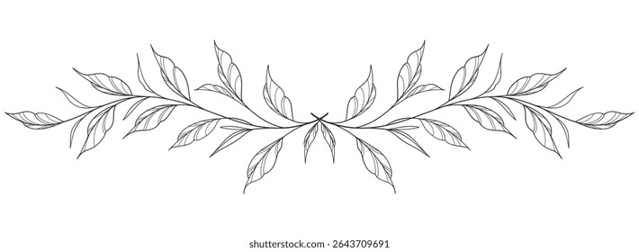 floral leaves line art isolated on white background. Divider doodle leaf and flowers, nature border decorative element vector illustration