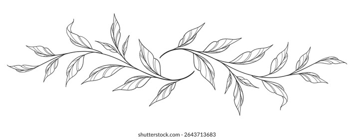 floral leaves line art isolated on white background. Divider doodle leaf and flowers, nature border decorative element vector illustration