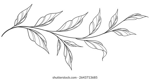 floral leaves line art isolated on white background. Divider doodle leaf and flowers, nature border decorative element vector illustration