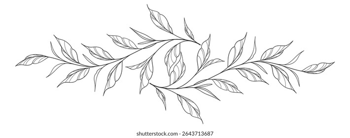 floral leaves line art isolated on white background. Divider doodle leaf and flowers, nature border decorative element vector illustration