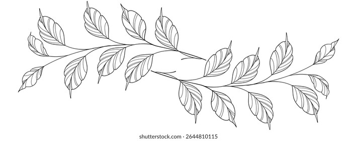 floral leaves line art isolated on white background. Divider doodle leaf and flowers, nature border decorative element vector illustration