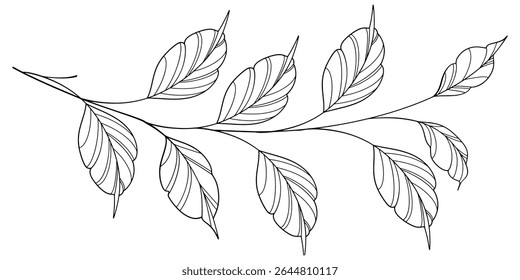 floral leaves line art isolated on white background. Divider doodle leaf and flowers, nature border decorative element vector illustration