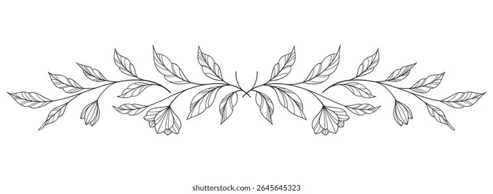 floral leaves line art isolated on white background. Divider doodle leaf and flowers, nature border decorative element vector illustration