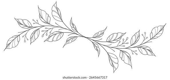 floral leaves line art isolated on white background. Divider doodle leaf and flowers, nature border decorative element vector illustration