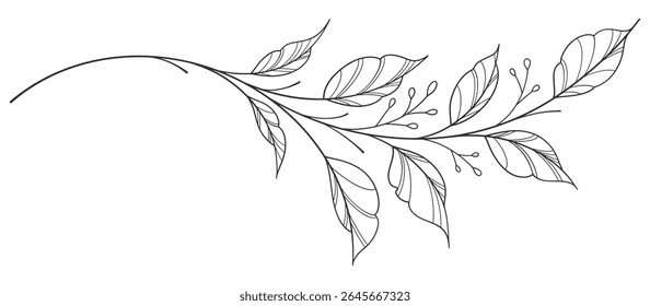 floral leaves line art isolated on white background. Divider doodle leaf and flowers, nature border decorative element vector illustration