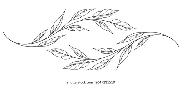 floral leaves line art isolated on white background. Divider doodle leaf and flowers, nature border decorative element vector illustration