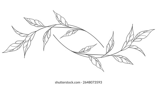 floral leaves line art isolated on white background. Divider doodle leaf and flowers, nature border decorative element vector illustration