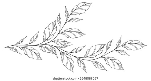 floral leaves line art isolated on white background. Divider doodle leaf and flowers, nature border decorative element vector illustration