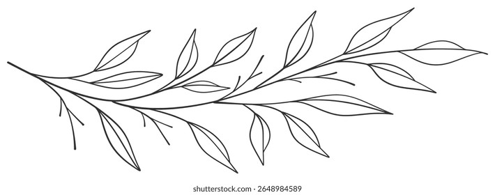 floral leaves line art isolated on white background. Divider doodle leaf and flowers, nature border decorative element vector illustration