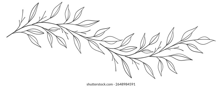 floral leaves line art isolated on white background. Divider doodle leaf and flowers, nature border decorative element vector illustration