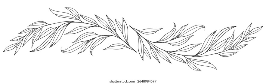 floral leaves line art isolated on white background. Divider doodle leaf and flowers, nature border decorative element vector illustration