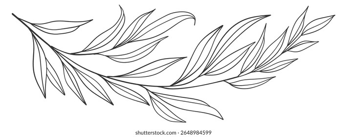 floral leaves line art isolated on white background. Divider doodle leaf and flowers, nature border decorative element vector illustration