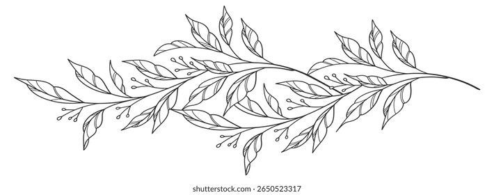 floral leaves line art isolated on white background. Divider doodle leaf and flowers, nature border decorative element vector illustration