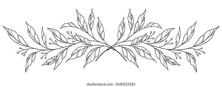 floral leaves line art isolated on white background. Divider doodle leaf and flowers, nature border decorative element vector illustration