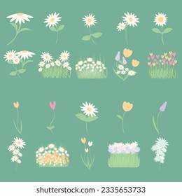 floral leaves spring botanical elements