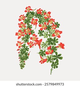 Floral letter A design with red flowers and green leaves. Botanical art forms the letter A. Red flowers and green leaves create a decorative letter A. Vintage flower illustration isolated, vector.