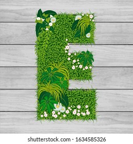 Floral letter E - vector illustration of a hard flowered grass a background of gray wooden planks.
