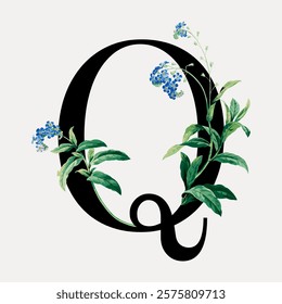 Floral letter Q digital art illustration. Vintage letter typography vector. Vintage art lettering illustration, old painting art print. Isolated vintage letter typography vector.