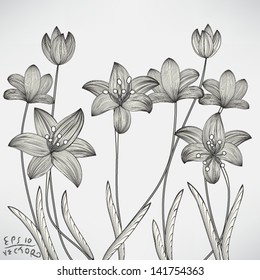 Floral Lily Elements for design, EPS10 Vector background