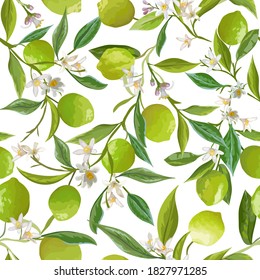 Floral Lime Seamless Pattern, Vector Citrus Fruits, Flowers, Leaves, Limes Branches Texture. Watercolor Style Tropical Lemons. Vintage Lemon Background for Print, Wedding, Backdrop, Wallpaper, Design