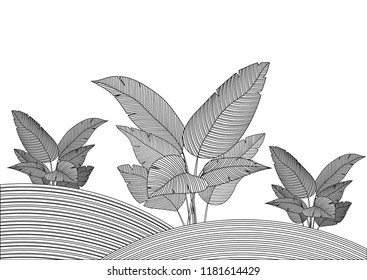 Floral lind of tropical leaves design.