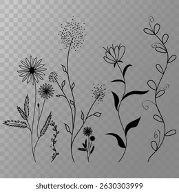 Floral line art. Black flower illustration. Vector botanical drawing. Minimal gray background.