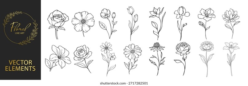 Floral line art botanical elements set, hand drawn flowers and branches collection, elegant minimalist outline vector illustration for wedding and branding on transparent background