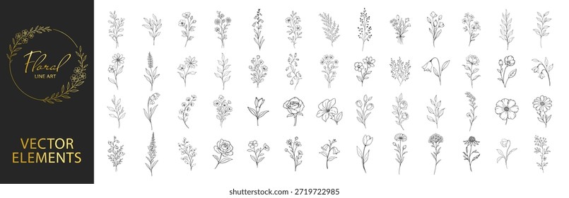 Conjunto de Elementos botánicos de arte de línea floral, colección de flores y ramas dibujadas a mano, elegante Ilustración vectorial de contorno minimalista para boda y marca sobre fondo transparente