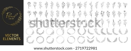 Floral line art botanical elements set, flowers branches and wreath frames, elegant hand drawn outline vector collection for wedding and branding on transparent background