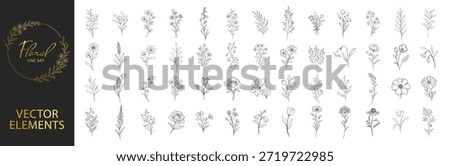 Floral line art botanical elements set, hand drawn flowers and branches collection, elegant minimalist outline vector illustration for wedding and branding on transparent background
