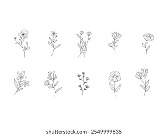 Floral Line Art Element Set
