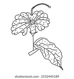 
Floral Line Art Flower  Elements