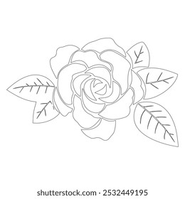 
Floral Line Art Flower  Elements