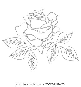 
Floral Line Art Flower  Elements