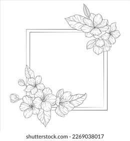 Marco de arte de línea floral, conjunto de ilustraciones de esquema de flor de Sakura. Flores De Doodle Pintadas A Mano. Perfecto para invitaciones de boda, ducha de novia y tarjetas de felicitación florales. Flores de esténcil en blanco y negro