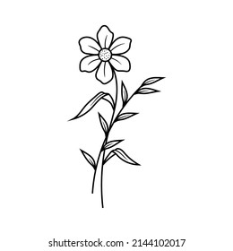 Floral line art illustration design vector isolated