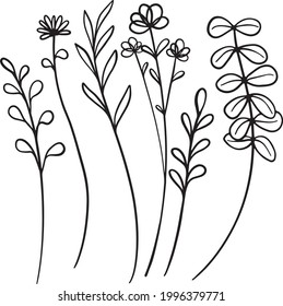 Floral Line Art Illustration Leaves Flower Eucalyptus Bouquet Botanical Clipart