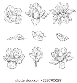Floral Line Art. Magnolia Flower Outline for Floral Coloring Pages, Minimalist Modern Wedding invitations	
