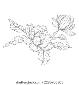 Floral Line Art. Magnolia Flower Outline for Floral Coloring Pages, Minimalist Modern Wedding invitations	
