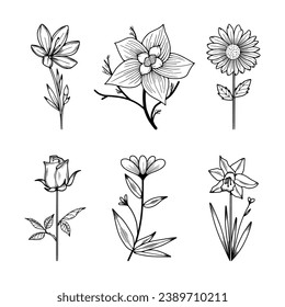 Floral Line Art Minimal Drawn Botanical Vector Illustration