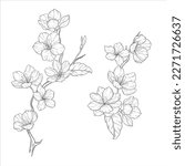 Floral Line Art, Sakura Flower Outline Illustration Set. Hand Painted Doodle Flowers. Perfect for wedding invitations, bridal shower and floral greeting cards. Black and white stencil flowers isolated