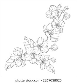 Floral Line Art, Sakura Flower Outline Illustration Set. Hand Painted Doodle Flowers. Perfect for wedding invitations, bridal shower and floral greeting cards. Black and white stencil flowers isolated
