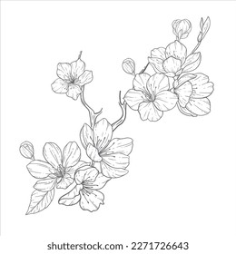 Floral Line Art, Sakura Flower Outline Illustration Set. Hand Painted Doodle Flowers. Perfect for wedding invitations, bridal shower and floral greeting cards. Black and white stencil flowers isolated