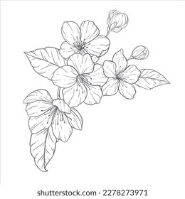 Blumenzeilenkunst, Sakura Blume Rahmenillustration Set. Handgemalte Doodle-Blumen. Ideal für Hochzeitseinladungen, Brautdusche und Blumenkarten. Schwarz-Weiß-Schablonenblumen einzeln