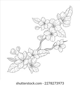 Floral Line Art, Sakura Flower Outline Illustration Set. Hand Painted Doodle Flowers. Perfect for wedding invitations, bridal shower and floral greeting cards. Black and white stencil flowers isolated